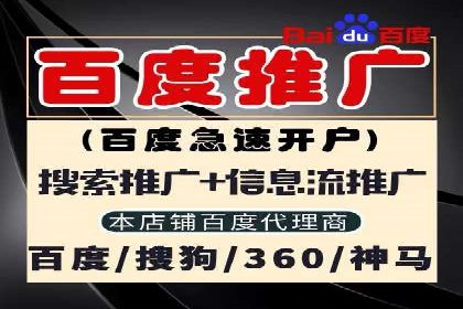 SEM代运营案例：助力企业实现线上转型